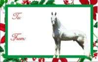 12 Tennessee Walking Horse Christmas Gift Tags  