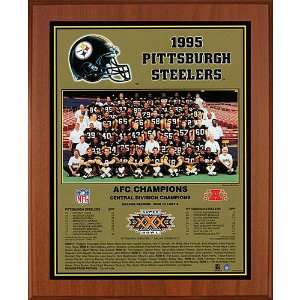  Healy Pittsburgh Steelers 1995 Team Picture Plaque  Cherry 