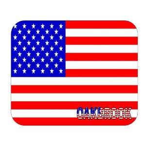  US Flag   Oak Brook, Illinois (IL) Mouse Pad Everything 