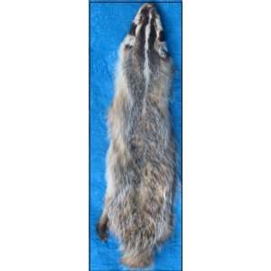    Professionally Tanned badger hide/fur/pelt 