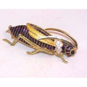  Goldtone Cricket Broach with Jewels 9298 