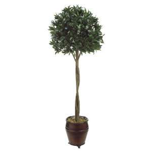 Sweet Bay Ball Tree in Rd Metal Container