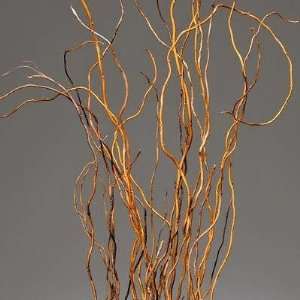  Curly Willow Branches for Arrangements (Long Stem)