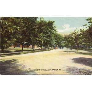   Postcard York Avenue West Pittston Pennsylvania 
