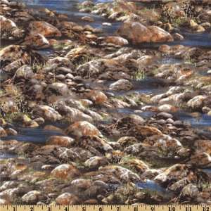  44 Wide Sunset Lake River Stones Brown Fabric By The 