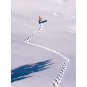  A Hiker Snowshoeing a Trail in Fresh Powder National 