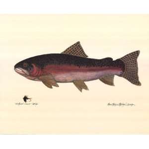  Steelhead Trout Finest LAMINATED Print Terri Blehm 20x16 