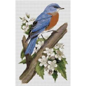  Missouri State Bird and Flower Counted Cross Stitch Pattern 