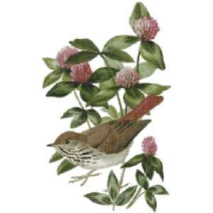  Vermont State Bird and Flower Counted Cross Stitch Pattern 