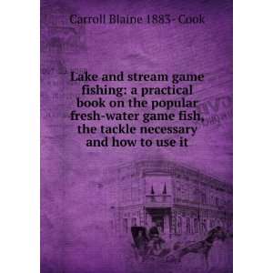  Lake and stream game fishing a practical book on the 