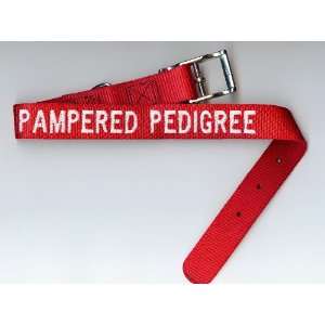  Pet Collar  Medium/Large  (Red) Pampered Pedigree
