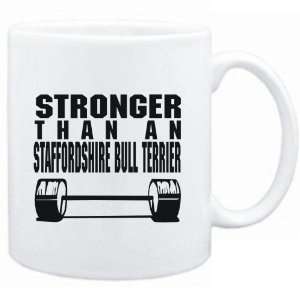   STRONGER THAN A Staffordshire Bull Terrier  Dogs