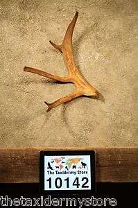 10142 Caribou Antler Eagle Carving Decor HornTaxidermyCabin 