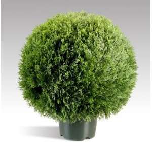 National Tree Company LCPT 700 20 20 Inch Cedar Pine Topiary in Round 