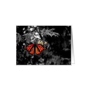  Beautiful Monarch Butterfly Note Card Card Health 