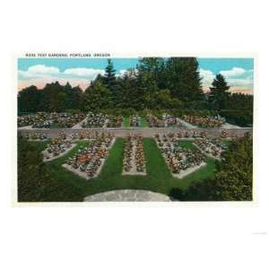  Portland, Oregon   View of the Rose Test Gardens Giclee 