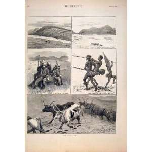  Zulu War Africa RorkeS Drift Sketches Durban Greytown 