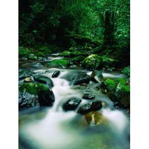  Liwagu River at Kinabalu National Park, Sabah, Malaysia 