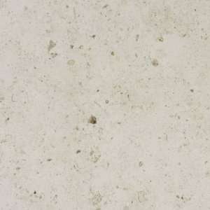  Montego Sela Gasol Beige 16 X 16 Honed Limestone Tile (8.9 
