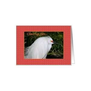  Sons Birthday Card with Snowy Egret Card Toys & Games