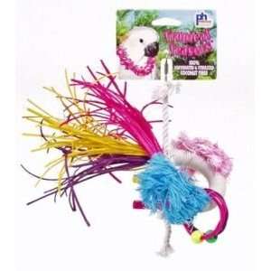   Prevue Pet Products Tropical Teasers Dynamo Bird Toy
