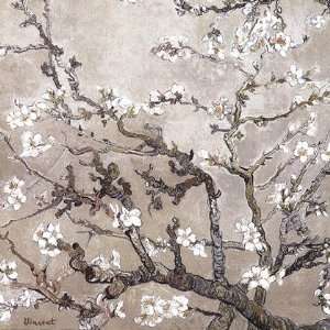 Blossoming Almond Tree, Saint Remy, c.1890 by Vincent Van Gogh 20x20 
