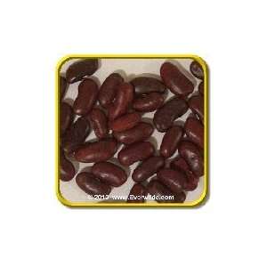  1/4 Lb   Small Red   Bulk Dry Bean Seeds Patio, Lawn 