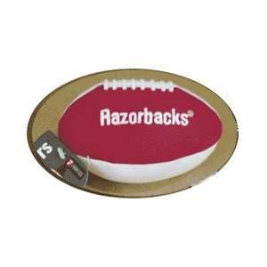    Arkansas Razorbacks Team Slammer Football