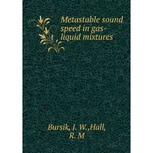   sound speed in gas liquid mixtures J. W.,Hall, R. M Bursik Books