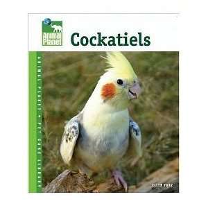  Cockatiels (Quantity of 3)