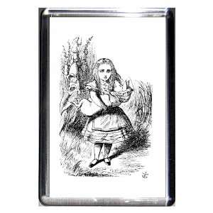   Alice in Wonderland Tenniel Alice with the Pig Baby
