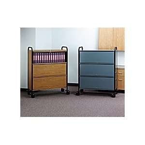 Privacy Chart Shelves   Capacity 24 (2 rows of 12 binders 41 inch H x 