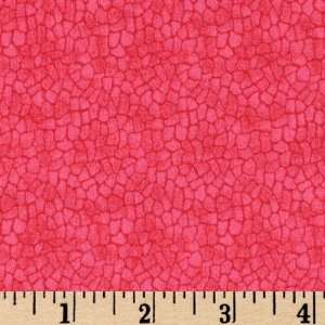  44 Wide Shopping Spree Cobblestones Cerise Fabric By The 