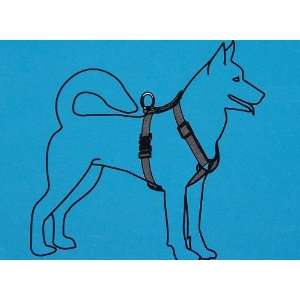  Dog Harness and Leash Set