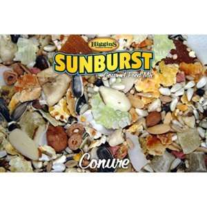  Sunburst Conure, 25 Lb