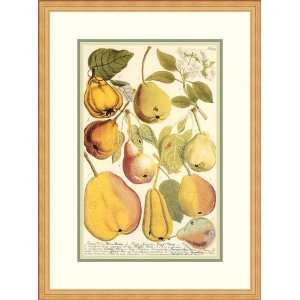    Pears by Johann Wilhelm Weinmann   Framed Artwork