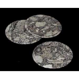  Fossil Coasters for Drinks   2 Pc. Stone Coaster Set 