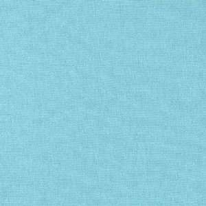  60 Wide Cotton/Spandex Jersey Knit Aqua Fabric By The 