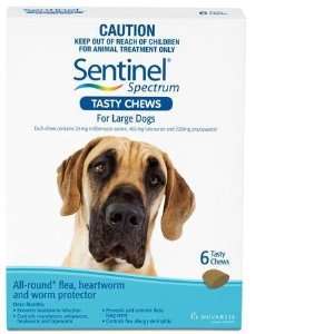  Sentinel Spec. Large Dogs Chews 6pk W