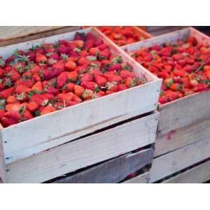  Strawberries at Market, San Miguel De Allende, Guanajuato 