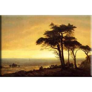   Coast 16x11 Streched Canvas Art by Bierstadt, Albert