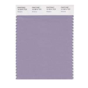  PANTONE SMART 16 3810X Color Swatch Card, Wisteria