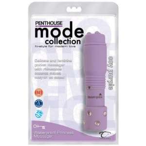  PRINCESS MASSAGER COY PURPLE W/P