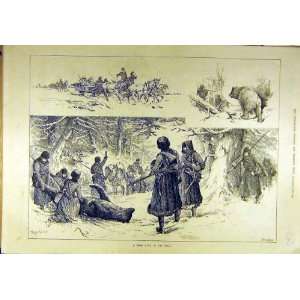 1887 Bear Hunting Ural Russia Animal Sport Print 