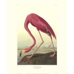   Giclee Poster Print by John James Audubon, 32x40