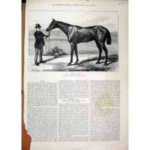  1874 Color Print Sir Astley Scamp Winner Goodwood