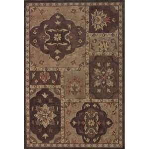   Oriental CARPET BROWN 5x7 5x8 Exact Size5 X 7 6