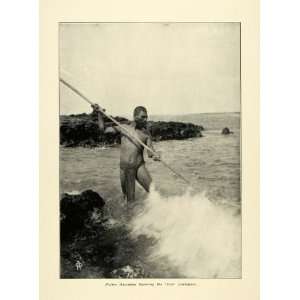  1908 Print Octopus Marine Hawaii Fishing Spear Hee 