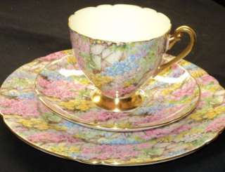 Shelley Ripon ROCK GARDEN CHINTZ GOLD Tea cup and saucer TRIO  