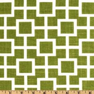  54 Wide Robert Allen Cats Cradle Grass Fabric By The 